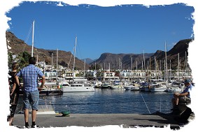 Looking at the marina from the fish quay